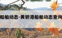 黄骅港船舶动态-黄骅港船舶动态查询平台还能用吗