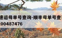 顺丰速运母单号查询-顺丰母单号查询sf1015200487476