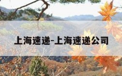 上海速递-上海速递公司