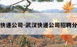 武汉快递公司-武汉快递公司招聘分拣员