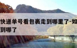 怎么查快递单号看包裹走到哪里了-如何查快递单号到哪了