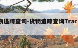 货物追踪查询-货物追踪查询Tracking