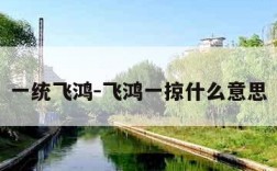 一统飞鸿-飞鸿一掠什么意思