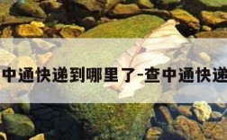 查一下中通快递到哪里了-查中通快递到那了