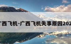 广西飞机-广西飞机失事原因2022