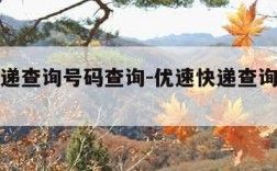 优速快递查询号码查询-优速快递查询输入号码查询