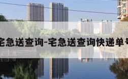 宅急送查询-宅急送查询快递单号
