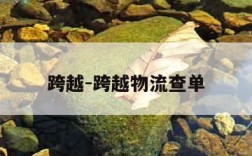 跨越-跨越物流查单