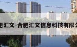 合肥汇文-合肥汇文信息科技有限公司