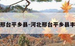 河北邢台平乡县-河北邢台平乡县丰州镇