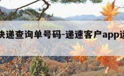 递速快递查询单号码-递速客户app运单号查询