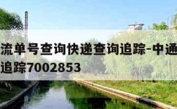 中通物流单号查询快递查询追踪-中通物流单号查询追踪7002853