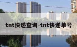 tnt快递查询-tnt快递单号