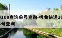 快递100查询单号查询-极兔快递100查询单号查询