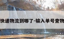 查快递物流到哪了-输入单号查物流