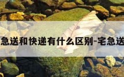 宅急送和快递有什么区别-宅急送是
