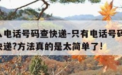 只输入电话号码查快递-只有电话号码,怎么查询快递?方法真的是太简单了!