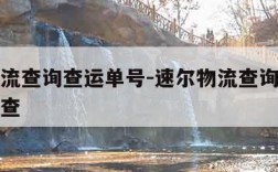 速尔物流查询查运单号-速尔物流查询查运单号怎么查