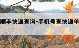 手机号顺丰快递查询-手机号查快递单号查询顺丰