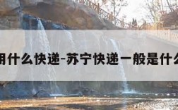 苏宁用什么快递-苏宁快递一般是什么快递