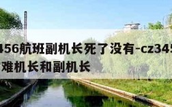 3456航班副机长死了没有-cz3456空难机长和副机长