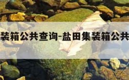 盐田集装箱公共查询-盐田集装箱公共查询电话