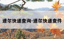 速尔快递查询-速尔快递查件