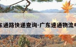 广东通路快递查询-广东速通物流电话