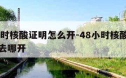 48小时核酸证明怎么开-48小时核酸检测证明去哪开