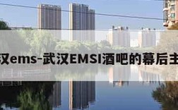 武汉ems-武汉EMSI酒吧的幕后主使