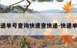 申通快递单号查询快速查快递-快递单号查询