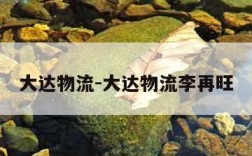 大达物流-大达物流李再旺