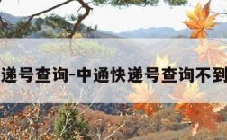 中通快递号查询-中通快递号查询不到怎么办