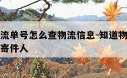 知道物流单号怎么查物流信息-知道物流单号怎么查寄件人