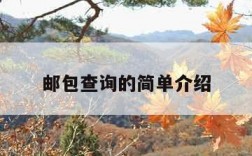 邮包查询的简单介绍