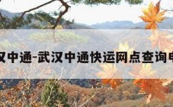 武汉中通-武汉中通快运网点查询电话