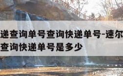 速尔快递查询单号查询快递单号-速尔快递查询单号查询快递单号是多少
