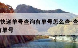 在哪查快递单号查询有单号怎么查-查快递怎么查 有单号