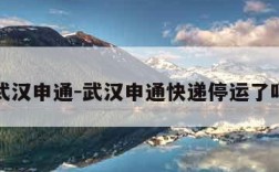 武汉申通-武汉申通快递停运了吗