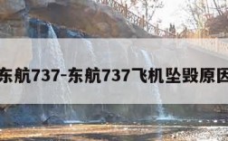 东航737-东航737飞机坠毁原因