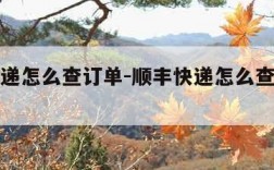 顺丰快递怎么查订单-顺丰快递怎么查订单明细