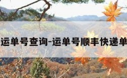 申通速运单号查询-运单号顺丰快递单号查询