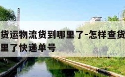 怎样查货运物流货到哪里了-怎样查货运物流货到哪里了快递单号