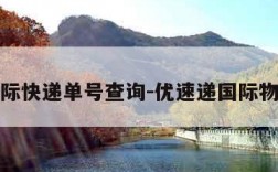 优速国际快递单号查询-优速递国际物流查询