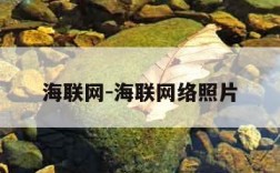海联网-海联网络照片