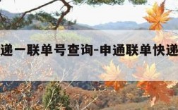 申通快递一联单号查询-申通联单快递单号查询