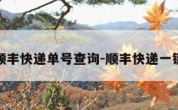 输入顺丰快递单号查询-顺丰快递一键查询