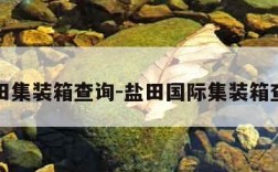 盐田集装箱查询-盐田国际集装箱查询