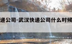 武汉快递公司-武汉快递公司什么时候开始上班