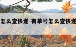 有单号怎么查快递-有单号怎么查快递物流到哪了